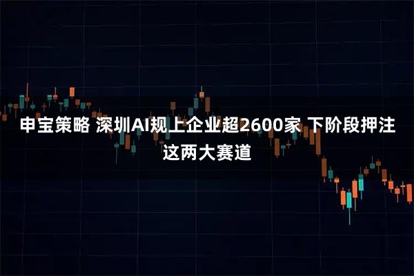 申宝策略 深圳AI规上企业超2600家 下阶段押注这两大赛道