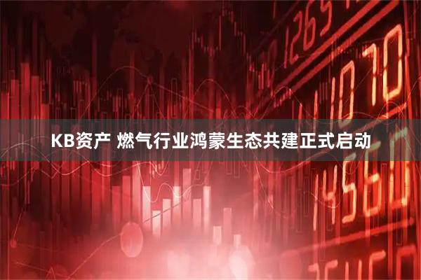 KB资产 燃气行业鸿蒙生态共建正式启动