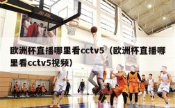 欧洲杯直播哪里看cctv5（欧洲杯直播哪里看cctv5视频）