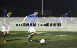 u17国青足球（u18国青足球）