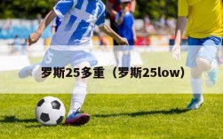 罗斯25多重（罗斯25low）